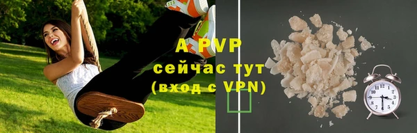 шишки Алзамай