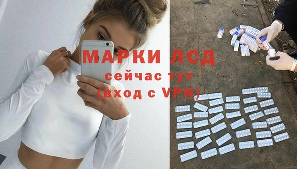 винт Абаза