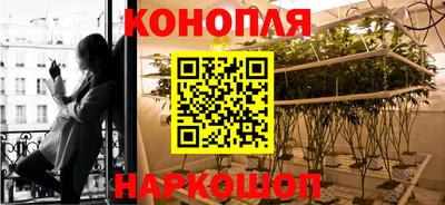 МДПВ Гай