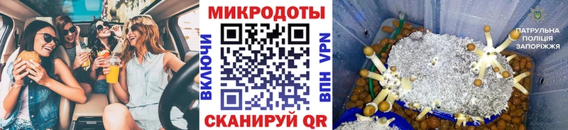 что такое наркотик  Ирбит  Галлюциногенные грибы мицелий 
